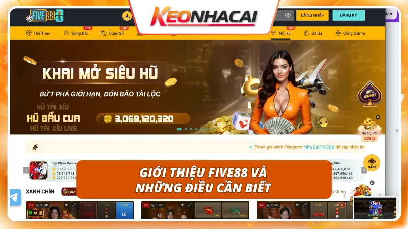 Khám phá sân chơi cá cược đẳng cấp dành cho người mới