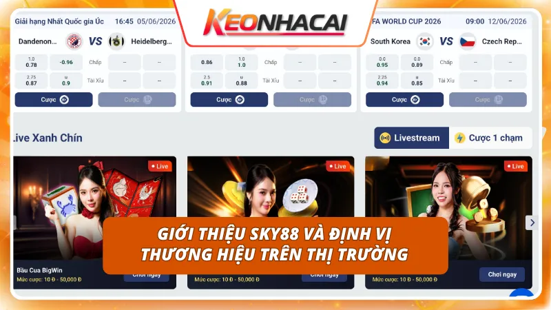 Không gian giải trí trực tuyến đẳng cấp dành cho mọi cược thủ
