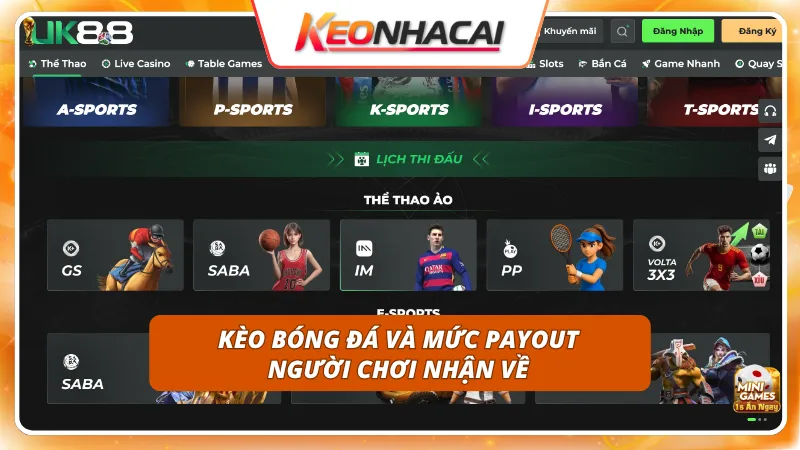Tỷ lệ hoàn trả và mức thanh toán thưởng cạnh tranh tối ưu hóa lợi nhuận