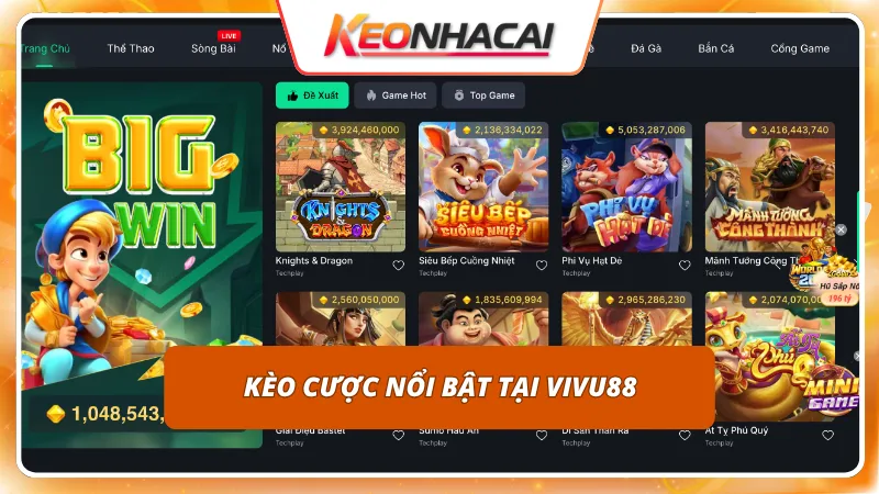 Tỷ lệ ăn thưởng cạnh tranh mở rộng cơ hội thu về lợi nhuận khủng