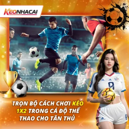 Kèo 1×2: Cách Đọc Tỷ Lệ Và Đánh Giá Cơ Hội Chiến Thắng