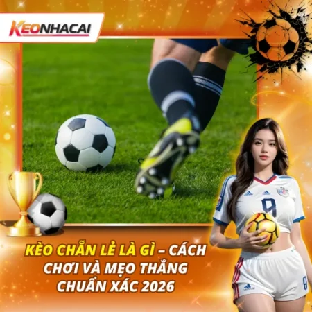 Kèo Chẵn Lẻ: Các Yếu Tố Ảnh Hưởng Đến Kết Quả Cuối Cùng
