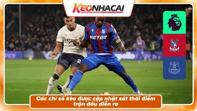 Nhận định kèo trận đấu