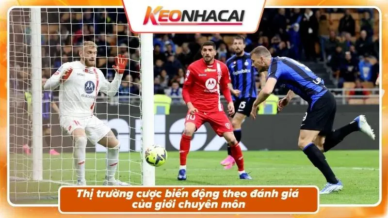 Nhận định kèo trận đấu