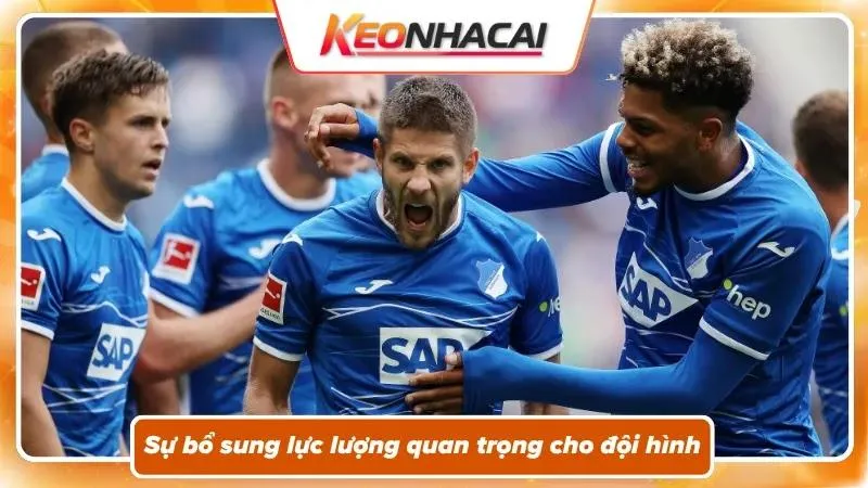Tình hình nhân sự