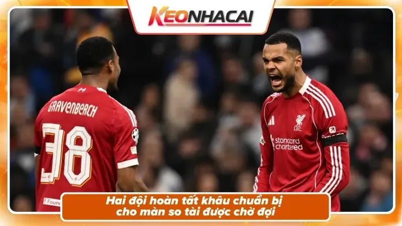 Nhận định Newcastle vs Liverpool: bối cảnh trận cầu tâm điểm